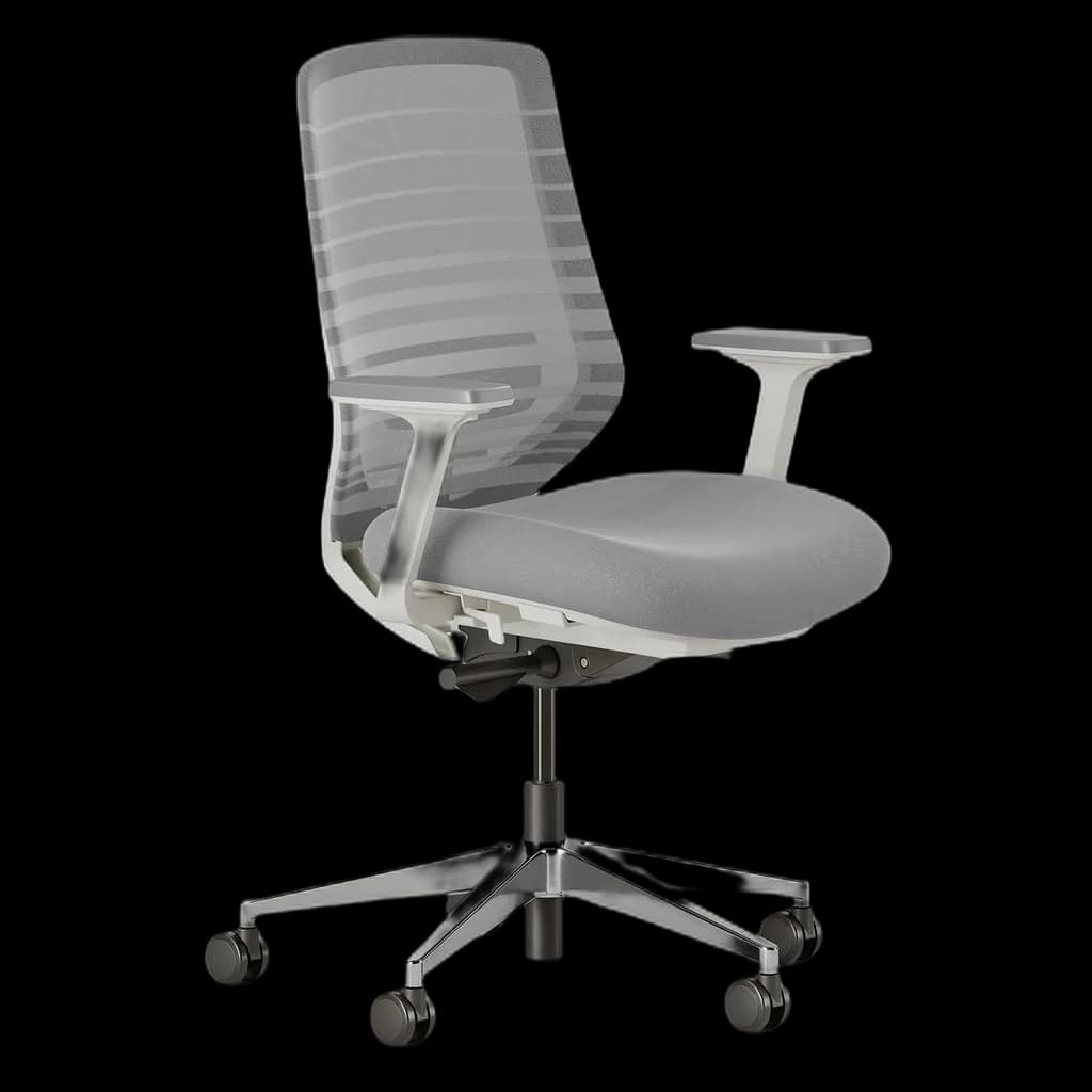 Branch Ergonomic Chair Pro