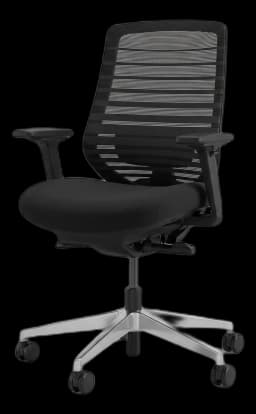 Branch Ergonomic Chair