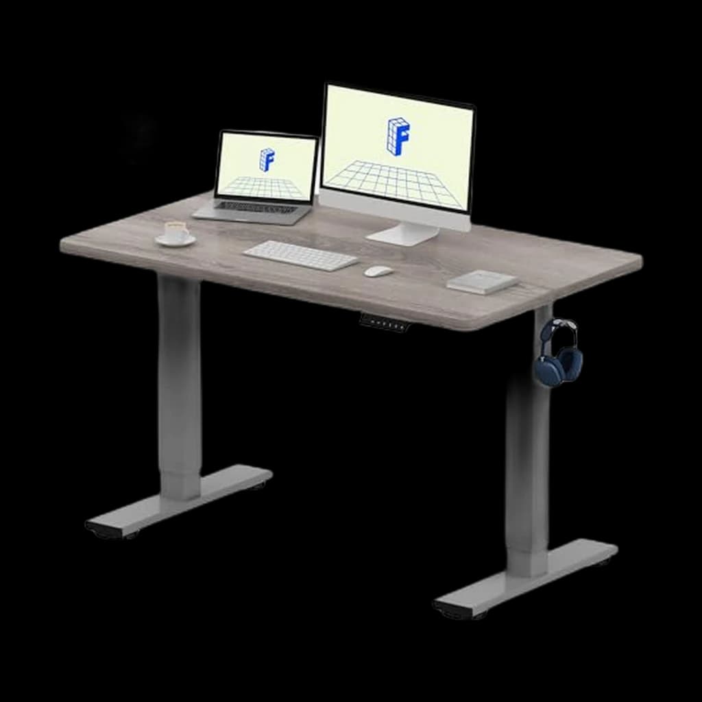 FlexiSpot EN1 Electric Standing Desk
