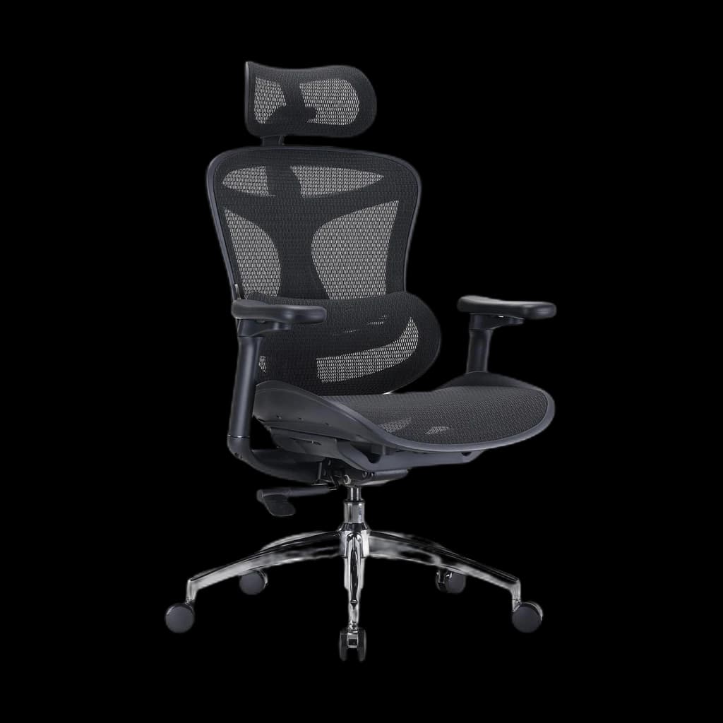 Sihoo Doro C300 Pro V2 Ergonomic Chair