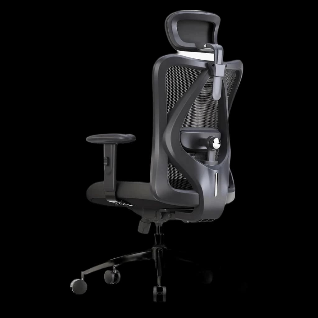 Sihoo M57 Ergonomic Chair