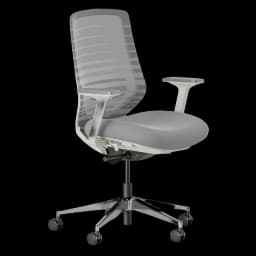 Branch Ergonomic Chair Pro