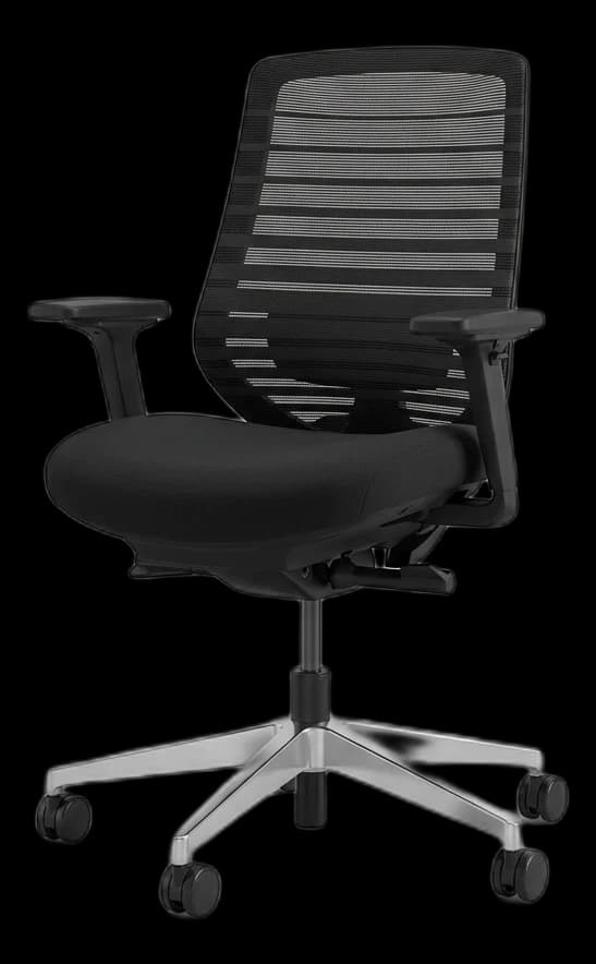 Branch Ergonomic Chair