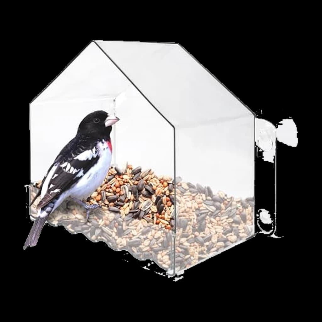 Nature's Way Win-3 Clear View Window Bird Feeder