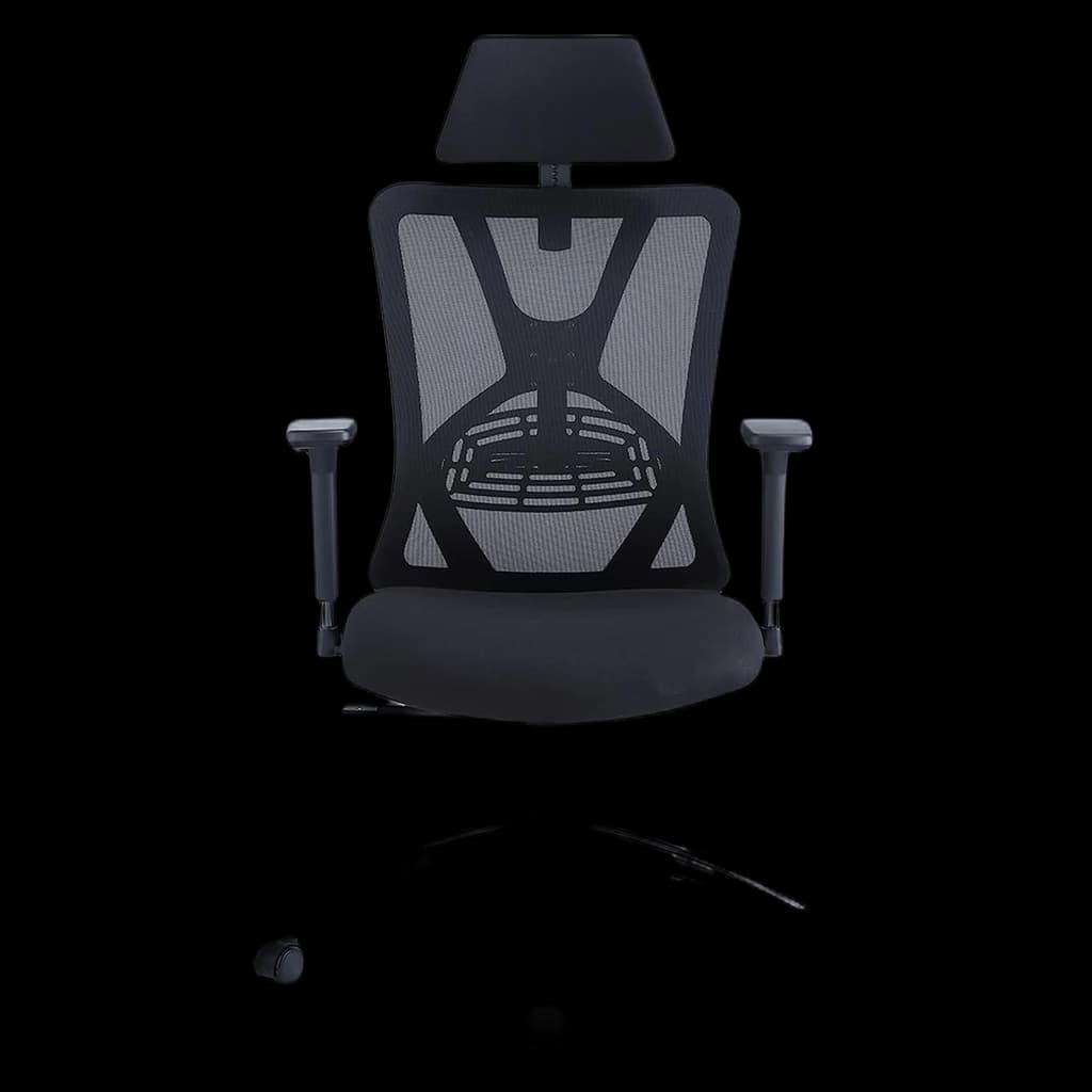 Ticova Ergonomic Office Chair