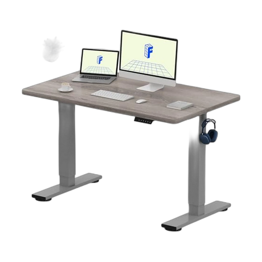 FlexiSpot EC1 Electric Standing Desk