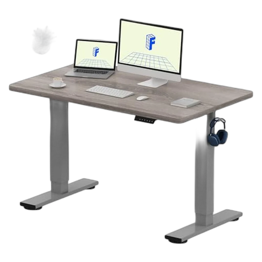 FlexiSpot EC1