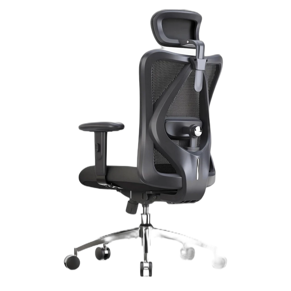Sihoo M57 Ergonomic Chair